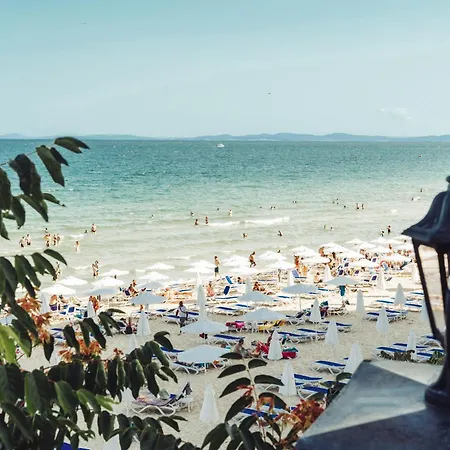 55 Perla Collective 아파트 *